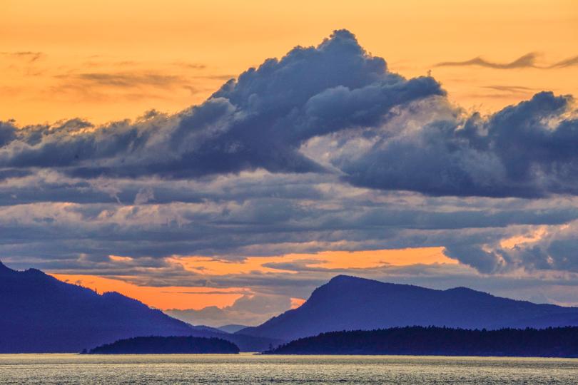 created with the new Sony Alpha a7R IV camera © Andy Katz