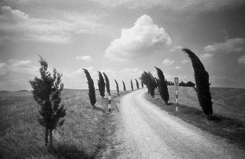 From "Water for Tears" © Joan Liftin