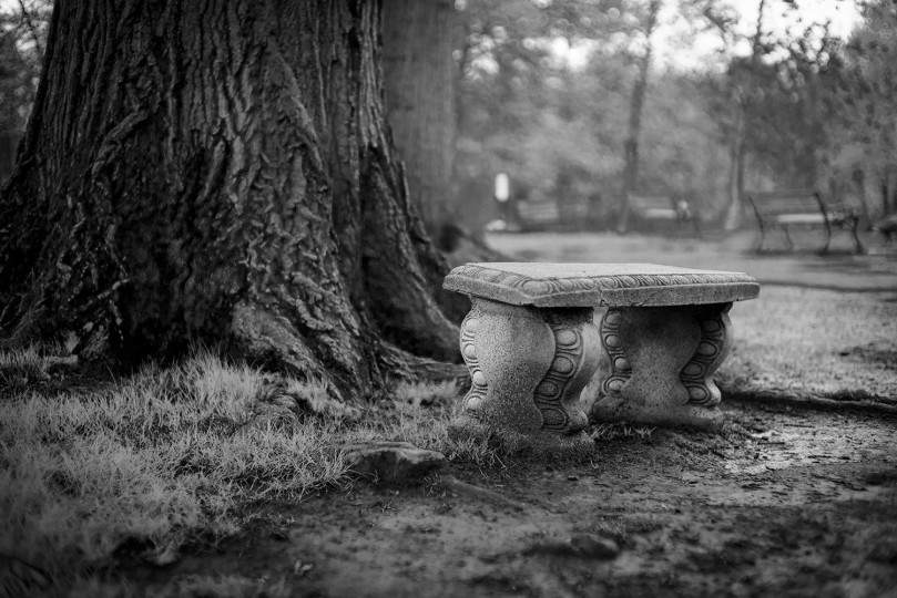 Real photograph of stone bench, from Allan Weitz’s park bench series