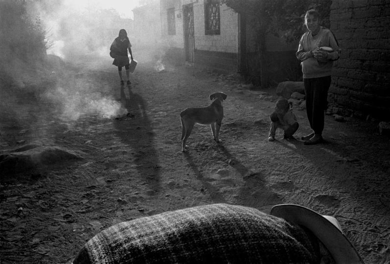 From “Al Sol” © Stella Johnson