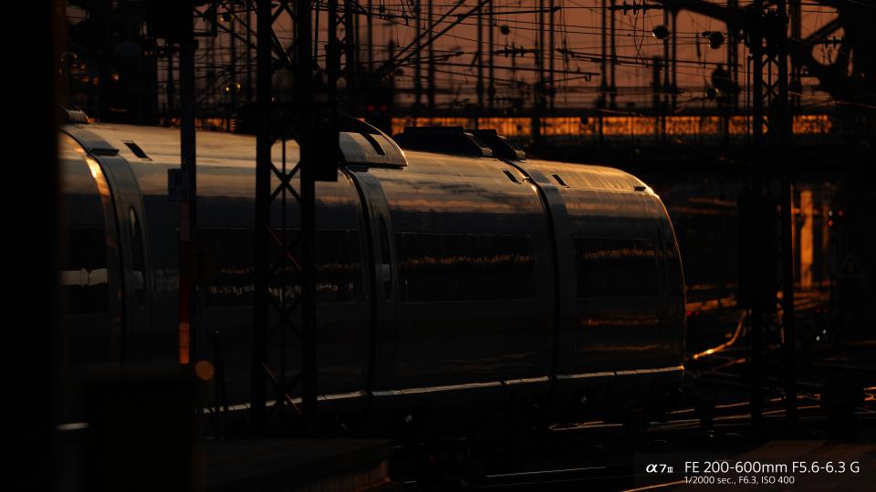 Sony FE 200-600mm f/5.6-6.3 G OSS Lens Sample Image