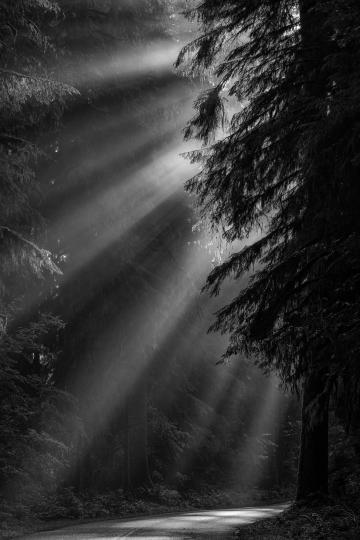 created with the new Sony Alpha a7R IV camera © Andy Katz