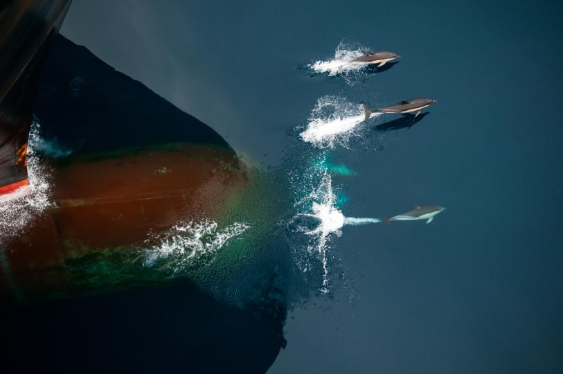 Photograph © Todd Vorenkamp