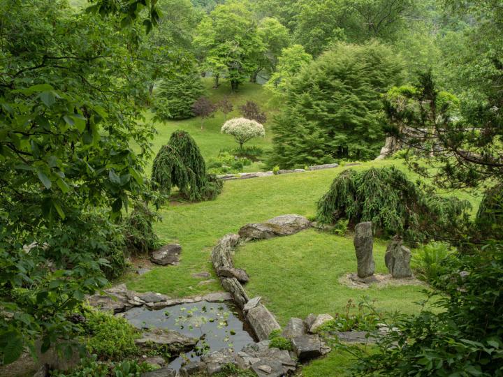 Innisfree, Millbrook, NY. Pond in a stand of conifers.  © Larry Lederman