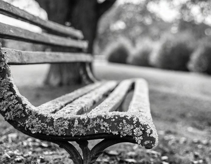 Synthetic image from Allan Weitz’s park bench series, created with Adobe Firefly using the following text prompts: Lichen-covered, art-deco-style, bench in park, 3-4 angle view, shallow depth-of-field, monochrome