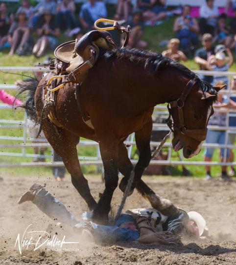 Rodeo © Nick Didlick