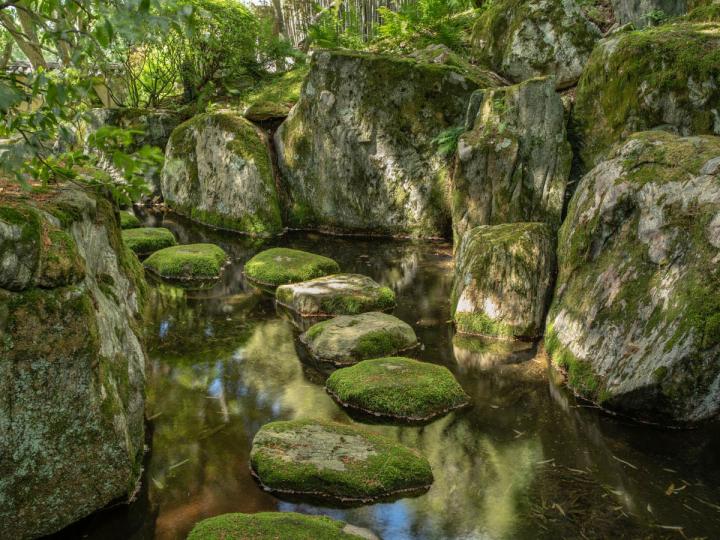 Japanese Garden at Kykuit, Pocantico Hills, NY. © Larry Lederman