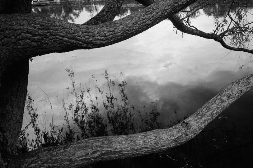 From "Water for Tears" © Joan Liftin