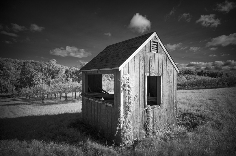 Original Source: Weitz paired a photograph of a tool shed in an apple orchard with prompts featuring camera terminologies such as ‘single lens reflex’ and ‘field camera.’  © Allan Weitz