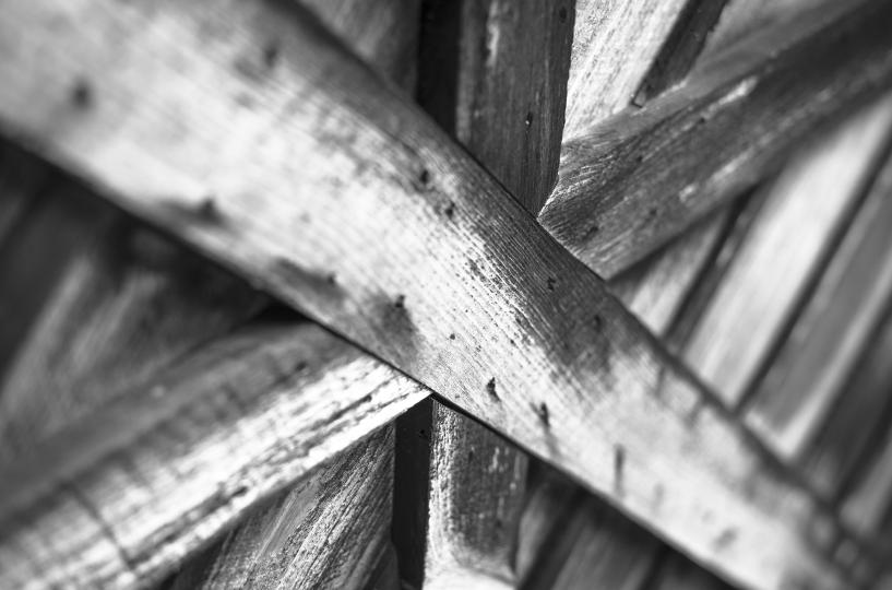 Taken with Zeiss Biogon 25mm f/2.8 ZM using Leica OUFRO Extension Tube © Allan Weitz