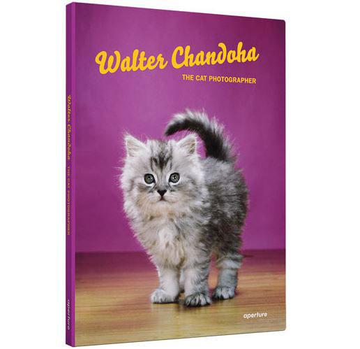 “Walter Chandoha: The Cat Photographer,” Interviews by David La Spina and Brittany Hudak