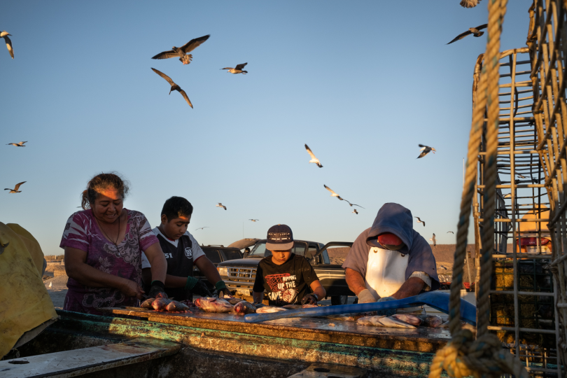 From “Awake in the Desert Land” © Sofia Aldinio