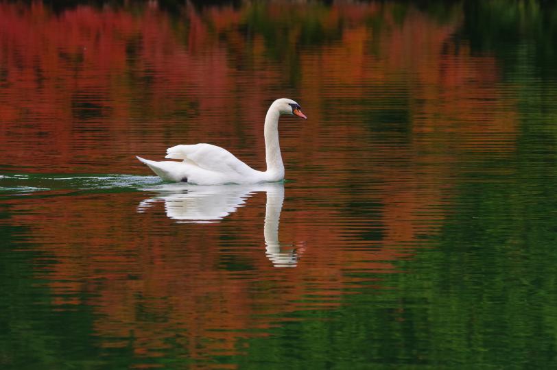 Pentax HD PENTAX-D FA 70-210mm f/4 ED SDM WR Lens Sample Photo