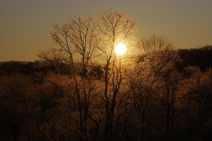 Pentax HD PENTAX-D FA 70-210mm f/4 ED SDM WR Lens Sample Photo