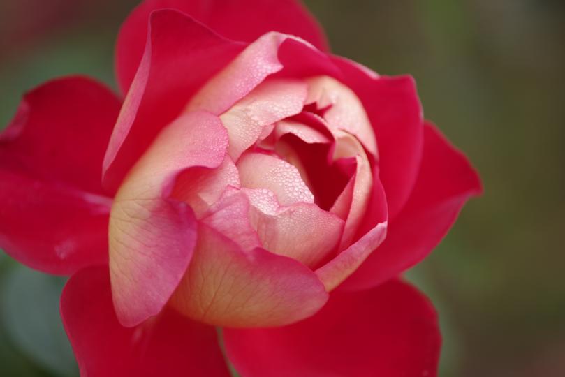 Pentax HD PENTAX-D FA 70-210mm f/4 ED SDM WR Lens Sample Photo