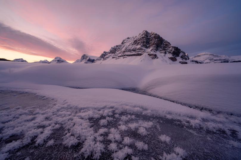 Bow Lake, Jasper National Park, 2020 © Rachel Jones Ross