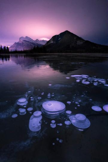 Methane bubbles at Vermillion Lake, 2019 © Rachel Jones Ross