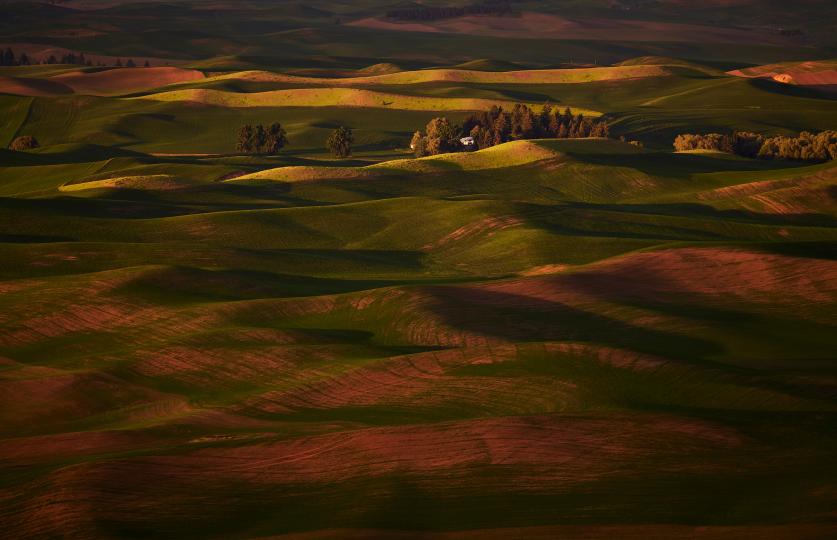Palouse Sunrise © Shiv Verma