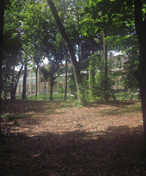 For SM, High School