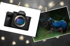 Sony a7R V Mirrorless Camera (left) and a sample image (right)