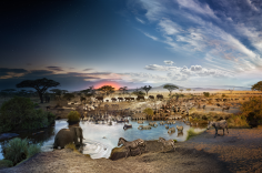 Serengeti National Park, Tanzania Day to Night