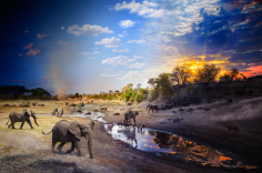 Boteti River, Botswana Day to Night