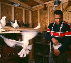 Mike Tyson with his pigeons, Catskill, NY, November 1985.