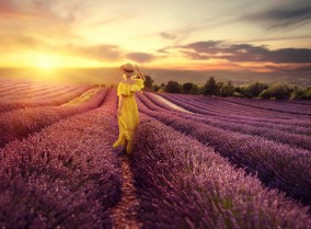Model Christine Penny in the lavender fields of Provence, France, emphasizing the complementary colors of yellow and purple.