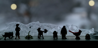 Window Sill Still Life