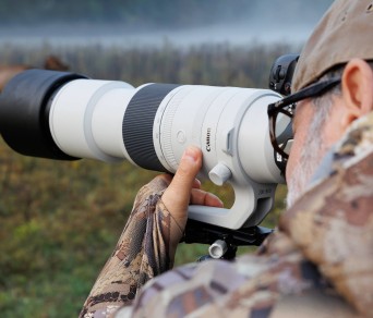 Canon RF 200-800mm f/6.3-9 IS USM Lens