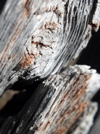 Wood Post Fence
