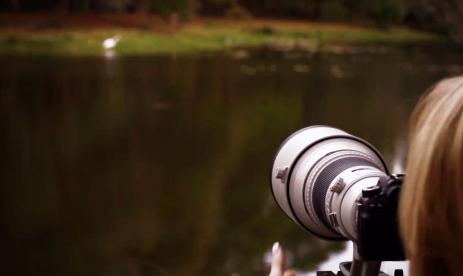 Canon EF 400mm f/4 DO IS II USM Lens