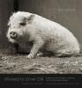 Book Cover of Allowed to Grow Old: Portraits of Elderly Animals from Farm Sanctuaries © Isa Leshko