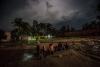 Rohingya Refugees After Having Just Landed in Bangladesh; Teknaf, Bangladesh, 2017 © Shahidul Alam, courtesy Drik/Majority World