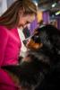Westminster Kennel Club Dog Show. Photograph © Nancy Borowick, 2019