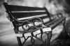 Close up photograph of wooden bench with decorative ironwork, from Allan Weitz’s park bench series