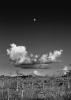 Moonrise © Clyde Butcher