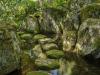 Japanese Garden at Kykuit, Pocantico Hills, NY. © Larry Lederman