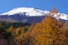 Pentax HD PENTAX-D FA 70-210mm f/4 ED SDM WR Lens Sample Photo