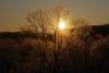 Pentax HD PENTAX-D FA 70-210mm f/4 ED SDM WR Lens Sample Photo