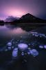 Methane bubbles at Vermillion Lake, 2019 © Rachel Jones Ross