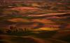 Palouse Sunset © Shiv Verma