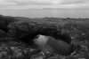 Unprocessed Acros G