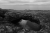 Unprocessed Acros YE