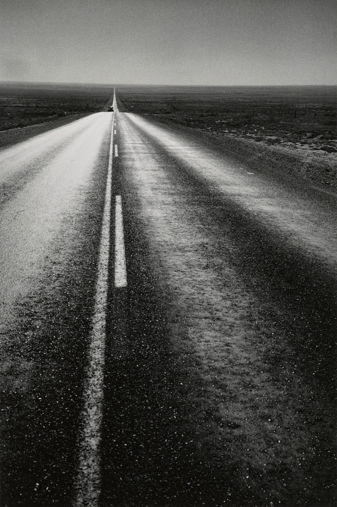 1950s America as Seen by Robert Frank & Todd Webb, with Lisa Volpe