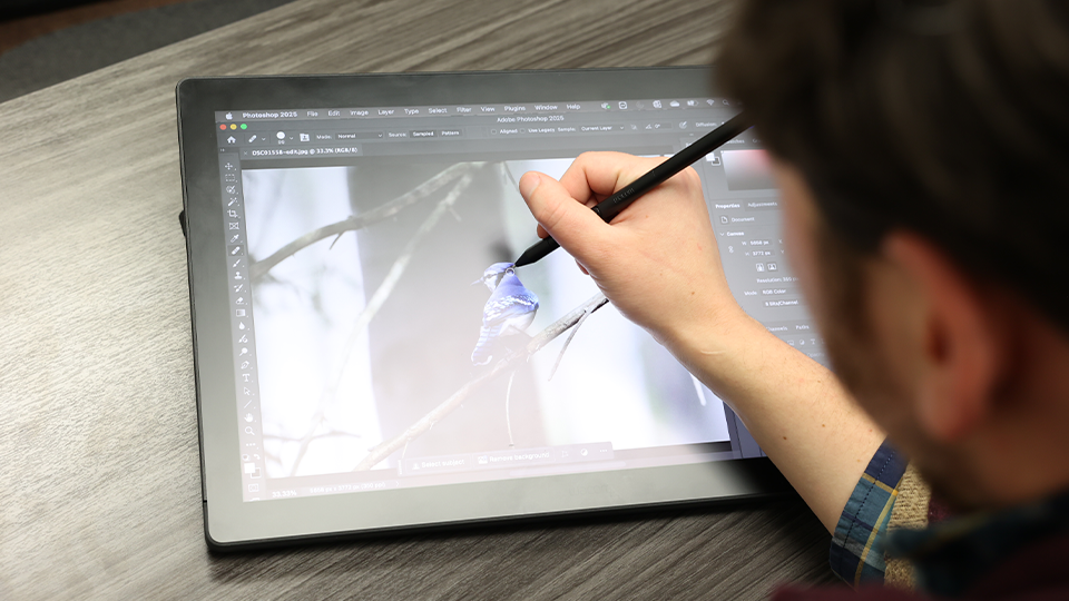 Wacom Cintiq 24 Creative Pen & Touch Display (2025)